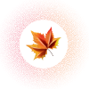 Fall