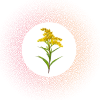 Allergen exposure
