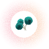 Mold