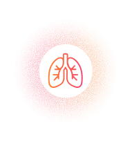 Lung Function Icon