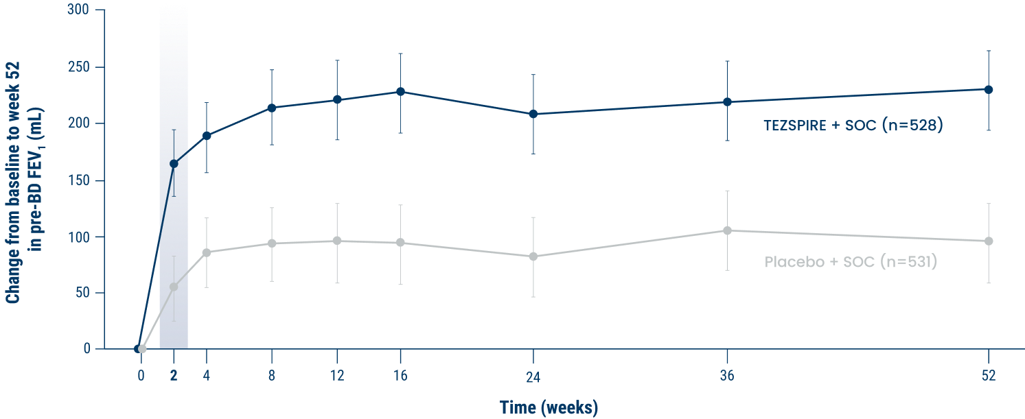 Lung Function Chart