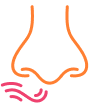 Loss of Smell Icon
