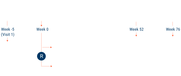 Clinical Trial Design Treatment Weeks Graph