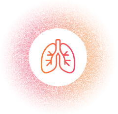 Lungs