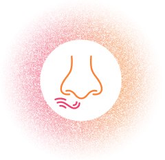 Smell Impairment Icon